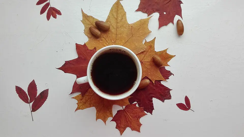 秋の紅茶アレンジレシピ