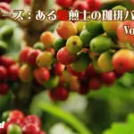 コーヒー生産国にも格差がある？ 行ってわかった！ コーヒー栽培・生産現場の今