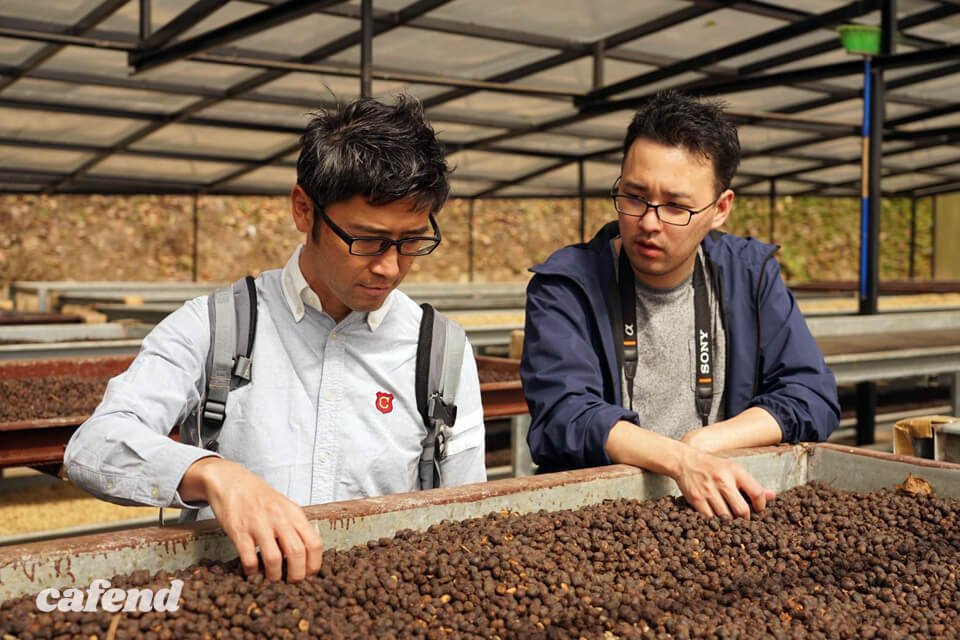 目指すは世界ナンバーワン！ ハシエンダ・コペイ農園が切り拓くゲイシャと「GESHARY COFFE」の新たな未来