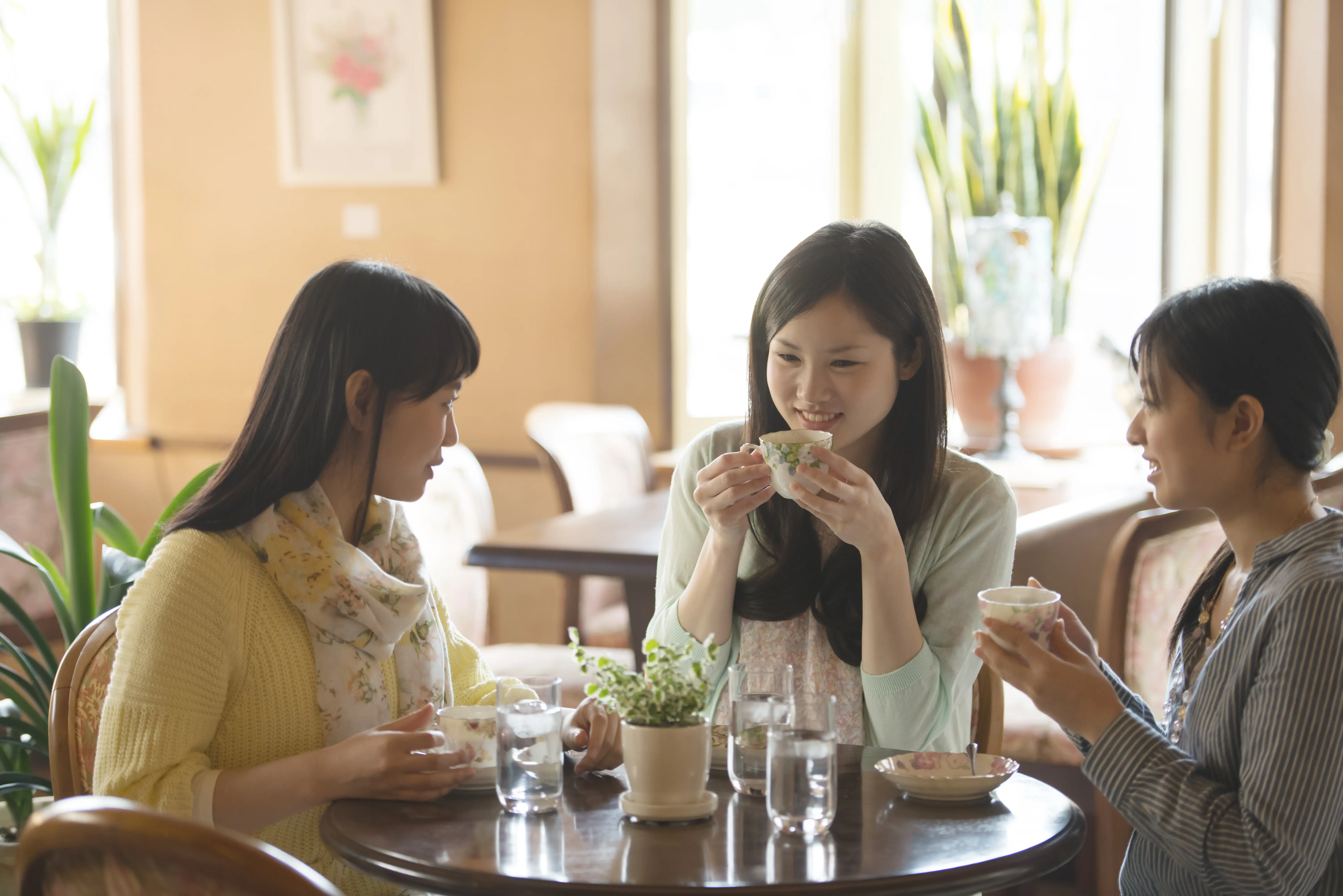 周りを気にせず女子会 東京でおすすめの個室があるカフェ4選