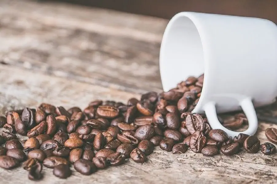 春の紫外線対策にコーヒーを コーヒーを飲むと日焼けはどうなる