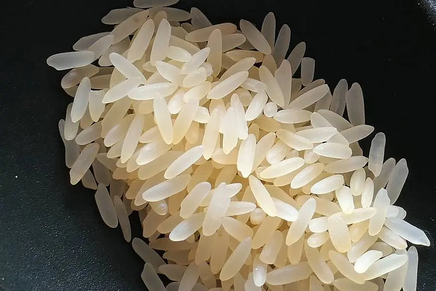 ライスミルク